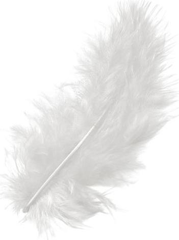 Image du produit Knorr Prandell Plumes de marabout