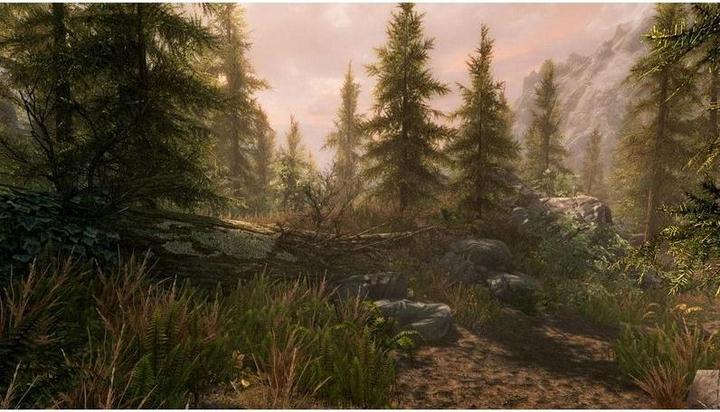 Actual product image Bethesda The Elder Scrolls 5: Skyrim Anniversary Edition (Free upgrade to PS5) (PS4, DE)