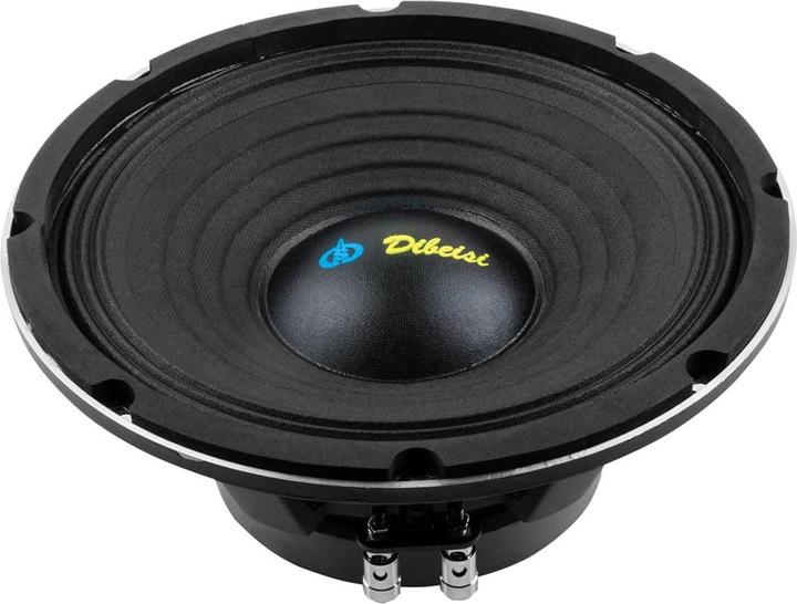 Actual product image Dibeisi 10-inch speaker DBS-PS1005-8 (5.08 cm)