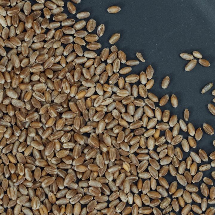 Immagine prodotto Altbachmühle Grano integrale biologico (1000 g)