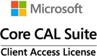 Actual product image Microsoft MS Liz CoreCAL User CAL,YR1,1TZ (1 User, 12 months)