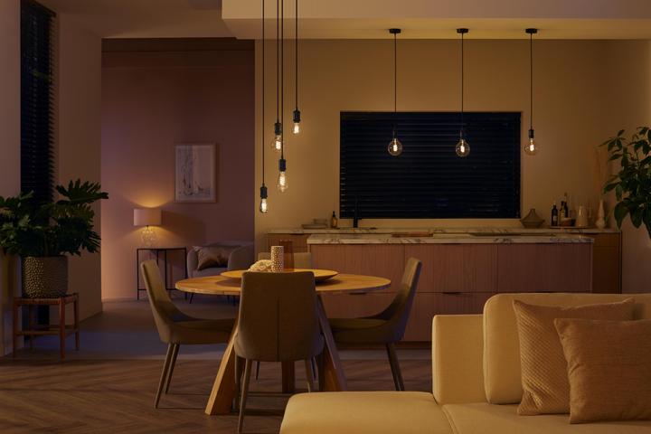 Productafbeelding Philips Hue E27 Enkelvoudige verpakking Giant Globe (E27, 7 W, 550 lm, 1 x, G)