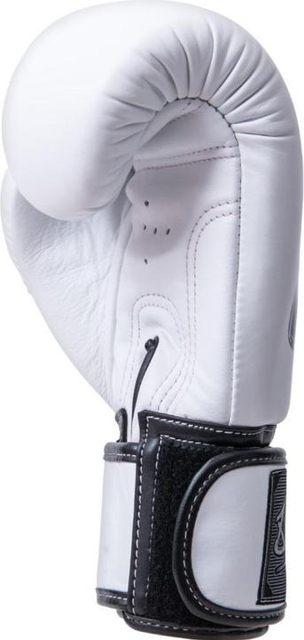 Actual product image 8Weapons BIG Premium (12 OZ, 12)