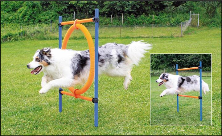 Image du produit Swisspet Anneau de saut (Taille unique, Agility)