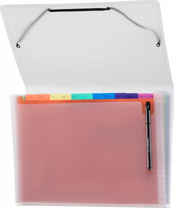 Immagine prodotto Kolma Cartella a scomparti Easy A4 media 12 schede arcobaleno (A4, 1 x)
