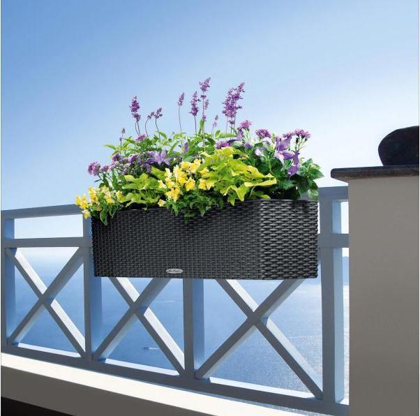 Actual product image Lechuza Balconera Cottage (19 cm)