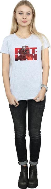 Actual product image Womens/Ladies Ant-Man Running Cotton T-Shirt (M)