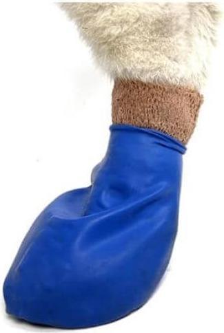 Produktbild Pawz Pfotenschutz (XL, Hundeschuhe)