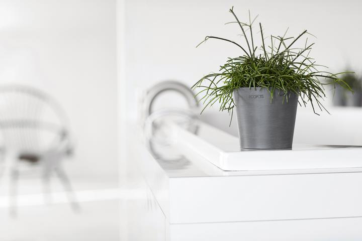 Produktbild Ecopots Amsterdam Mini (13 cm)