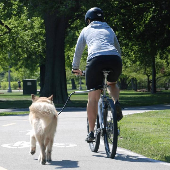 Immagine prodotto Pet Ego Vincenzo (Cane, Moto)