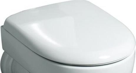 Actual product image Geberit Keramag / WC seat Renova New white 573010