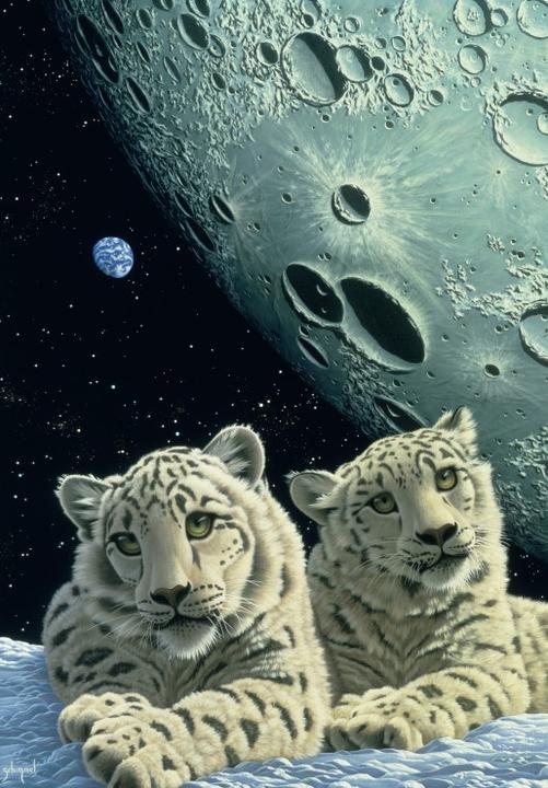 Actual product image Grafika Kids Schim Schimmel - Lair of the Snow Leopard (12 pieces)