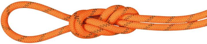Image du produit Mammut Corde d'escalade 8.0 Alpine Dry (70 m)