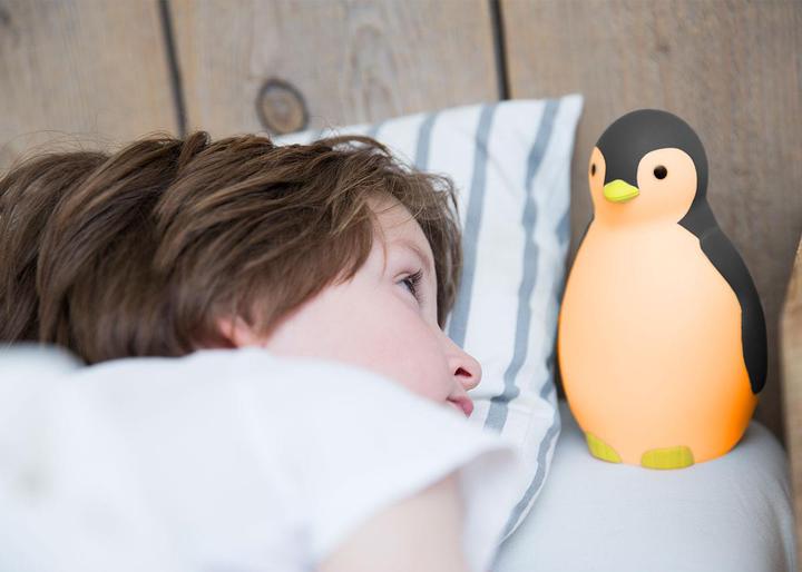 Immagine prodotto ZaZu Pam