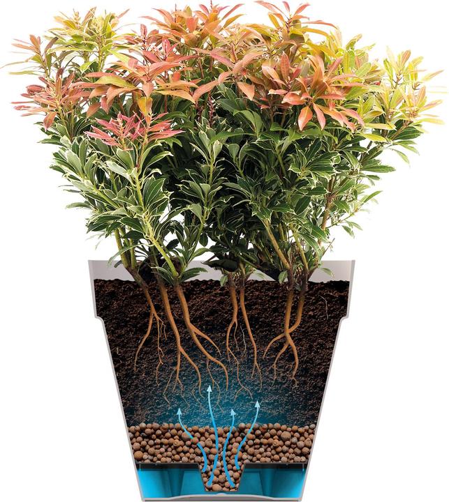 Actual product image Elho Loft Urban (33.50 cm)