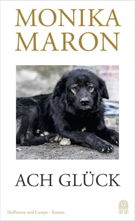 Produktbild Ach Glück (Deutsch, Monika Maron, 2021)