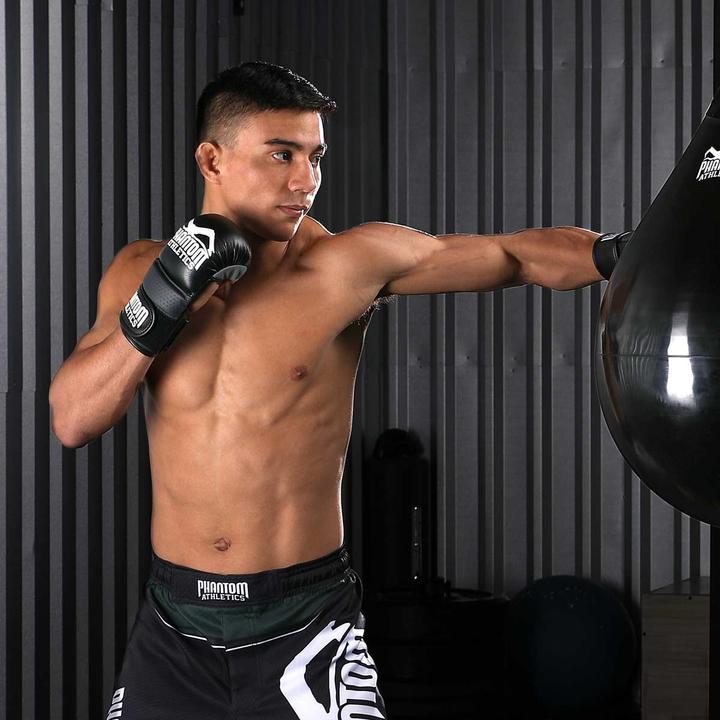 Actual product image Phantom Athletics MMA Sparring Gloves (16 OZ, L, XL)