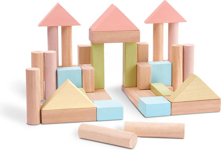 Image du produit Plantoys 40 blocs de bois pastel