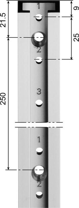Actual product image Aweso Actuator rails 1040 type 2, for medium load (1 pcs.)