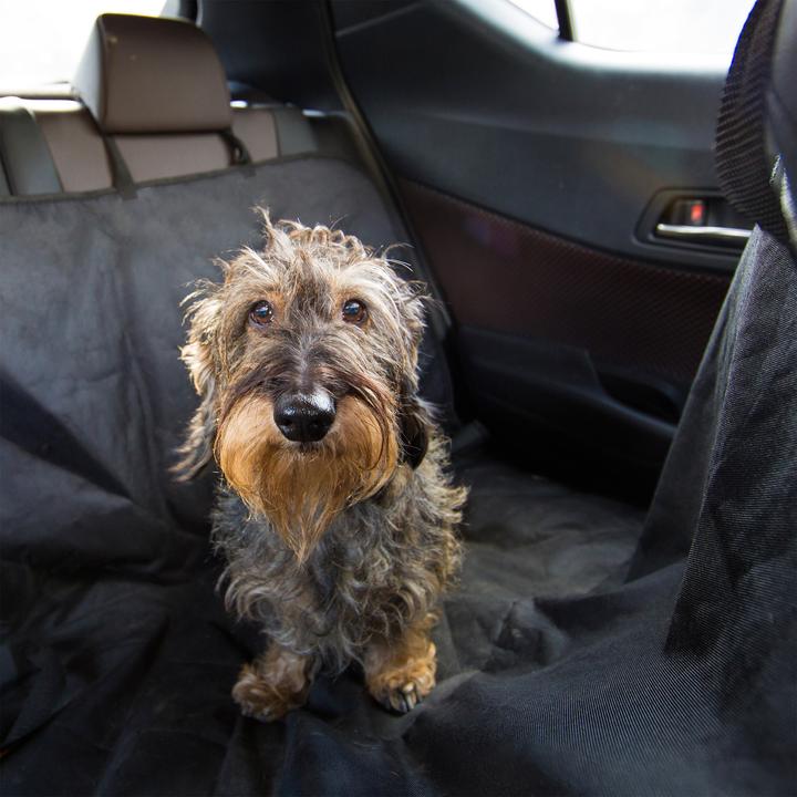 Immagine prodotto Relaxdays Coprisedile per cani (Cane, Riflettori, Traspirante)