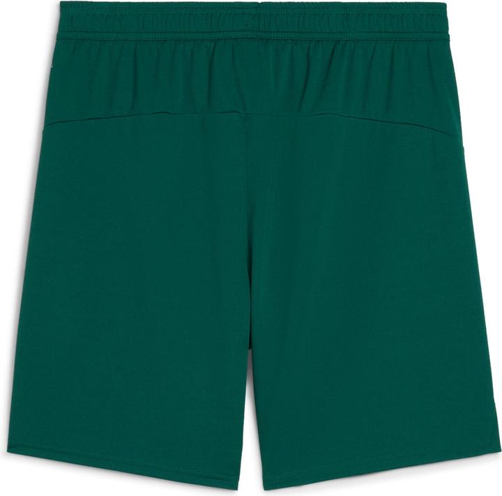 Actual product image Puma FPF Shorts Replica (M)