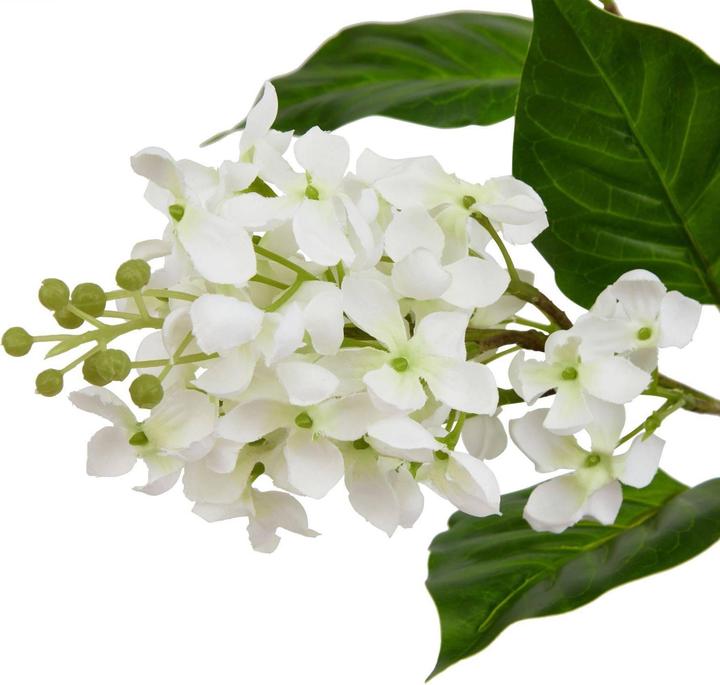 Image du produit Hill Interiors - Fleur artificielle THE NATURAL GARDEN COLLECTION (30 cm)