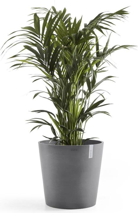 Actual product image Ecopots Amsterdam (50 cm)