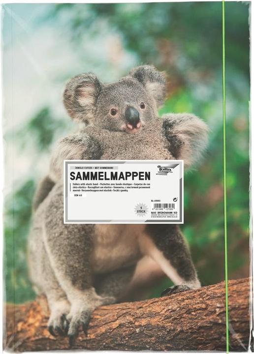 Immagine prodotto Folia Cartella da disegno Basic "Jungle Cuties", cartone, DIN A3 (A3)
