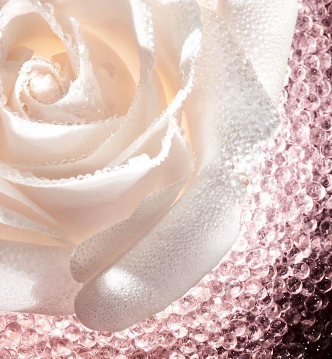 Immagine prodotto Dior Vaso di rosa di micro caviale (75 ml, Crema da giorno)