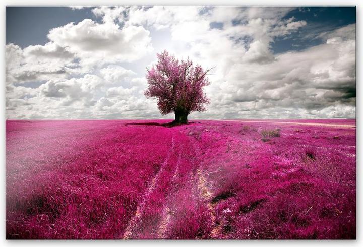 Actual product image Trenddeko The Lonely Tree (150 x 100 cm)
