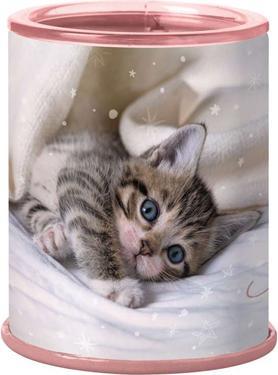 Produktbild Oberthur Spitzer Katze