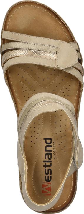 Immagine prodotto Westland 36603-82 (40)