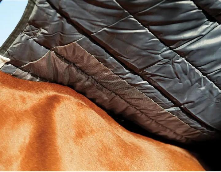 Image du produit Weatherbeeta Comfitec Thermi 100 g (150 cm)