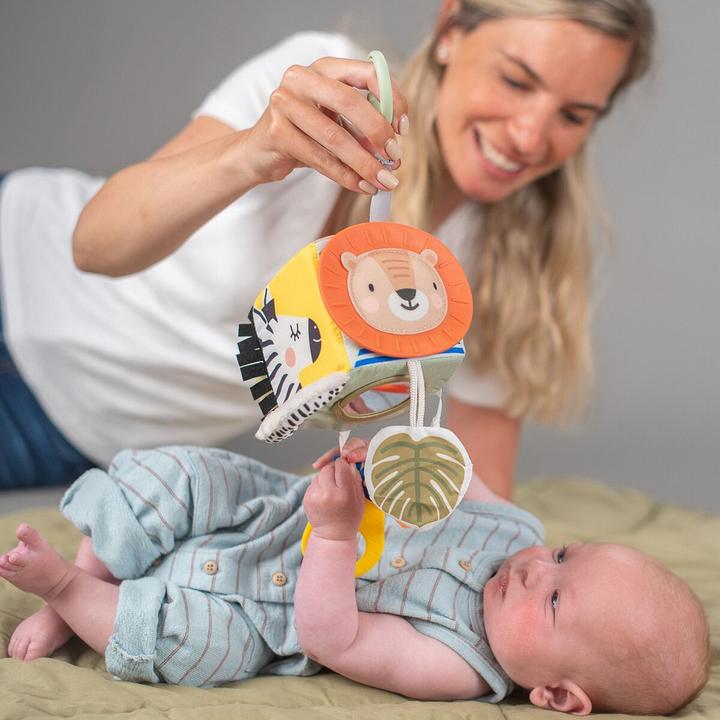 Actual product image Taf Toys Savannah discovery cube