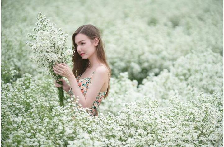 Produktbild TTArtisan 90 mm F/1.25 (Fujifilm G, Vollformat)