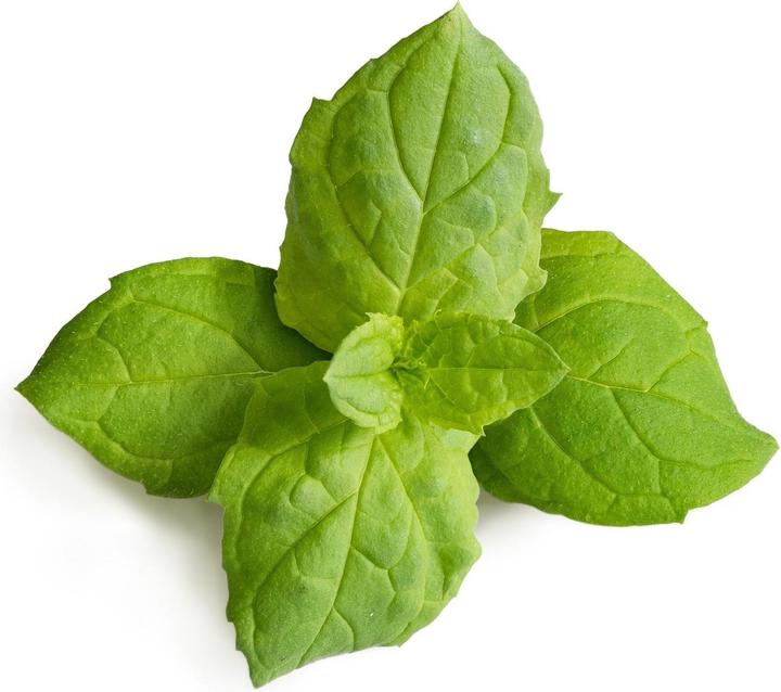 Image du produit Véritable Menthe marocaine (Graines de plantes)