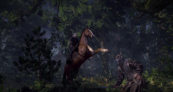 Produktbild Bandai Namco The Witcher III Game of the Year Edition (PS4, EN)