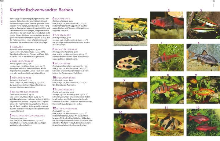 Image du produit Das grosse Praxishandbuch Aquarium (Allemand, Ulrich Schliewen, 2017)