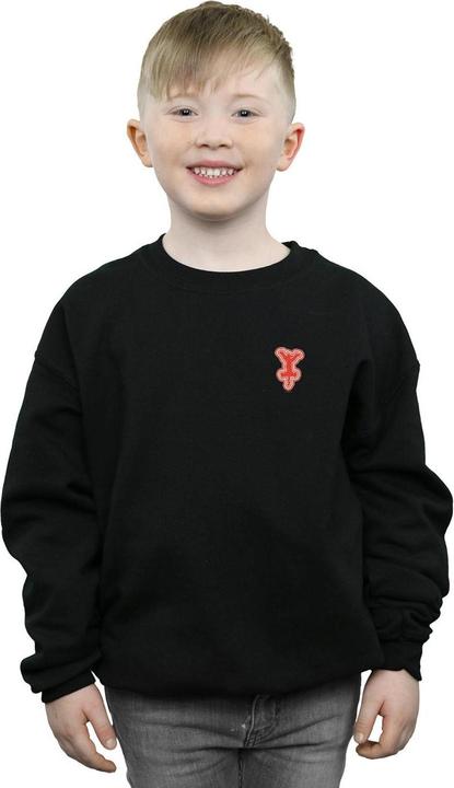 Produktbild Disney Winnie The Pooh Tigger Chest Sweatshirt Jungen (140, 146)