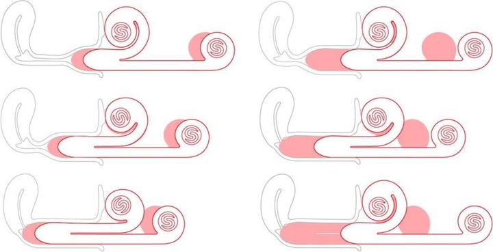 Produktbild Snail Vibe Duo-Vibrator