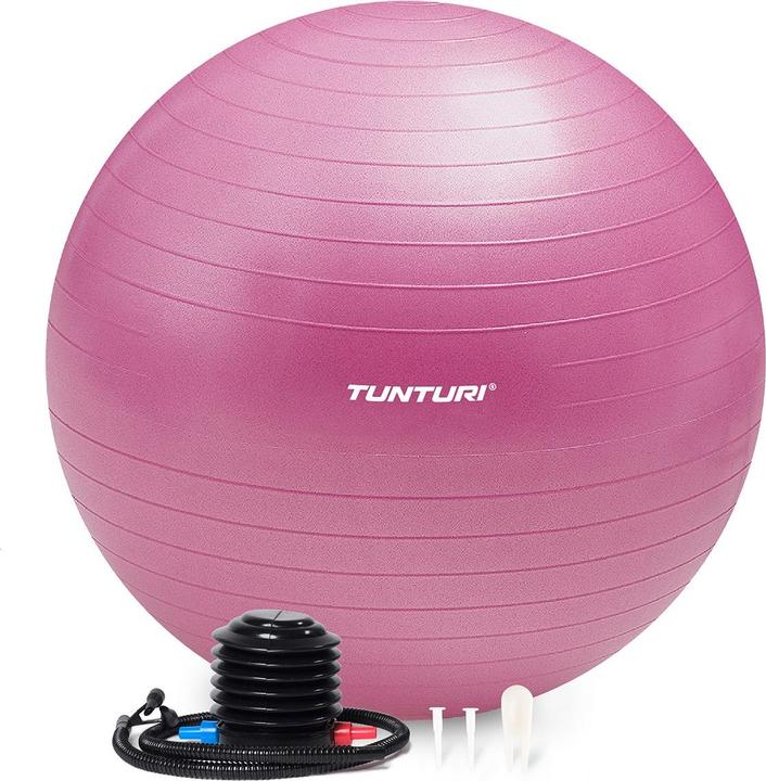 Tunturi Gym Ball (65 cm)