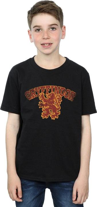 Actual product image Boys Gryffindor Sport Emblem T-Shirt (152, 158)