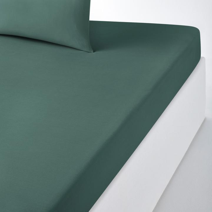 Produktbild La Redoute Interieurs Scenario Coton (120 x 190 cm)