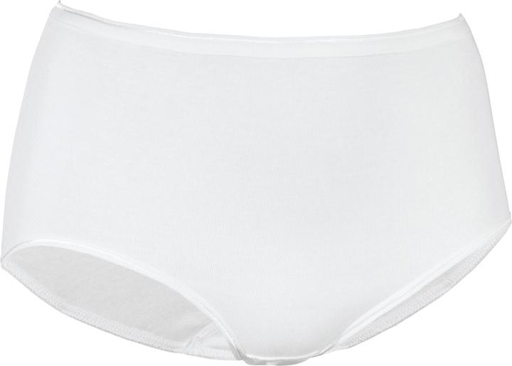 Produktbild Nina von C. Bio Damen-Taillenslip (42)