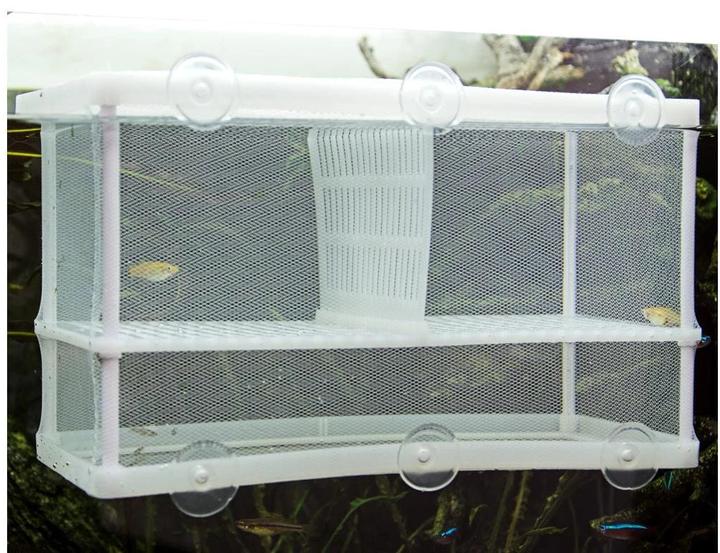 Immagine prodotto Hobby Vasca di riproduzione Nido 3.1 XL, 25 x 15 x 14,5 cm