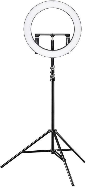 Walimex pro pro LED Ringleuchte 500 BiColor Set (Ringleuchte)