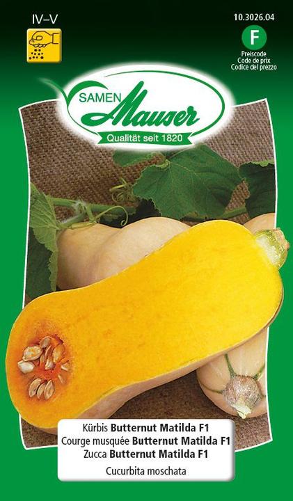 Courge Butternut Matilda F1 (Graines de légumes)
