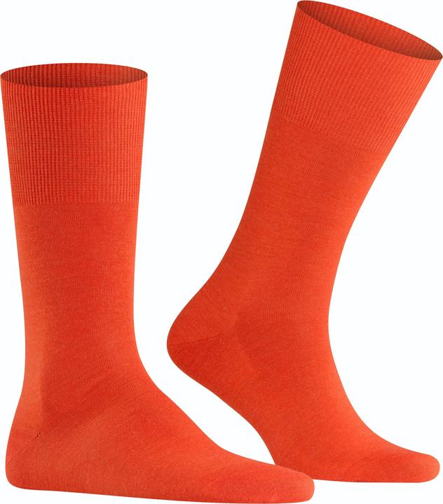 Actual product image Falke Airport SO (Single pack, 39 - 40)