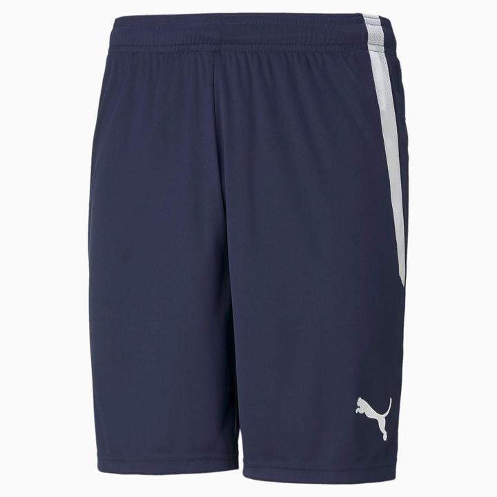 Actual product image Puma teamLIGA Shorts-704924 (XXL)
