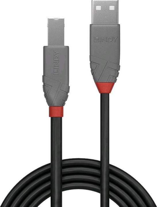 Produktbild Lindy USB/A-USB/B M-M (2 m, USB 2.0)